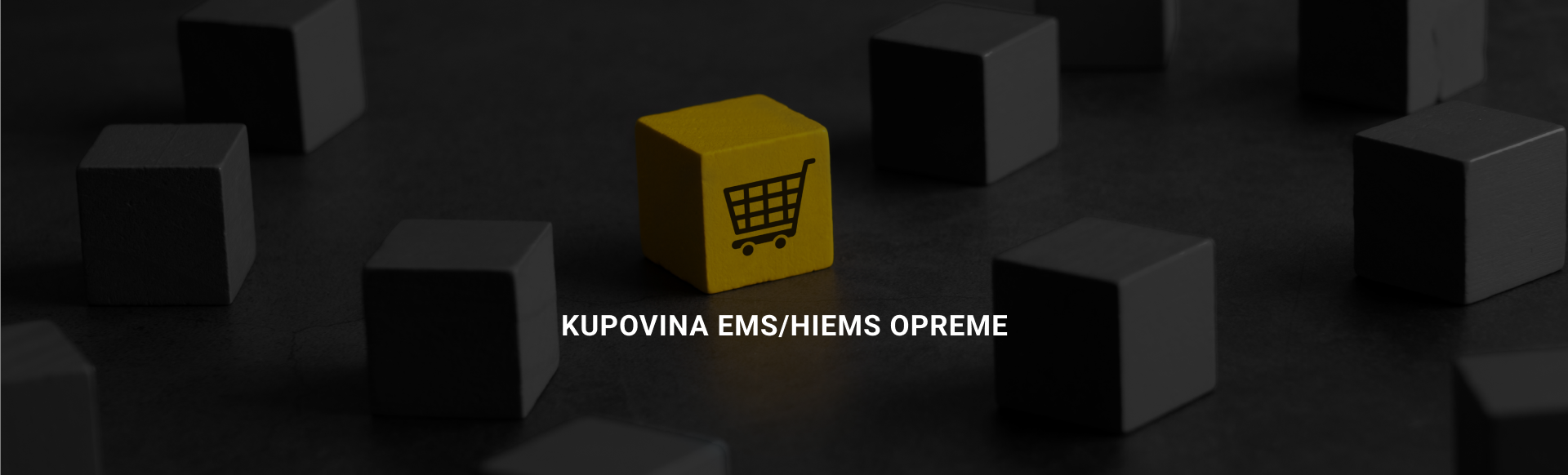 Fitems